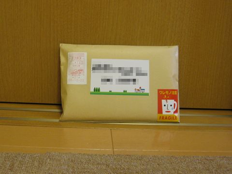 IMG_0051q.jpg