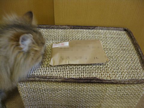 IMG_0136q.jpg