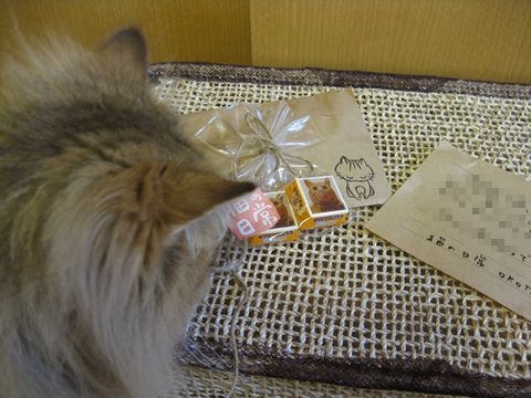 IMG_0138q.jpg
