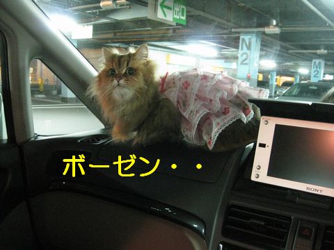 IMG_0727q.jpg
