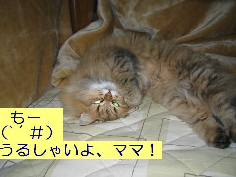 IMG_0760b.jpg
