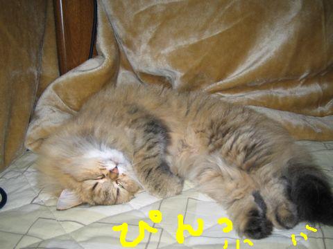IMG_0761b.jpg