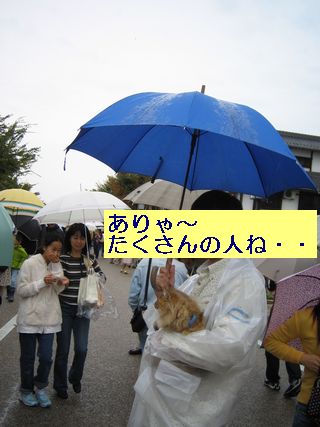 IMG_0912b.jpg