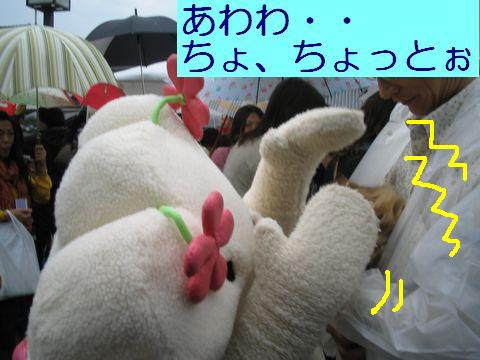 IMG_0915b.jpg