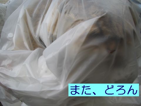 IMG_0918b.jpg