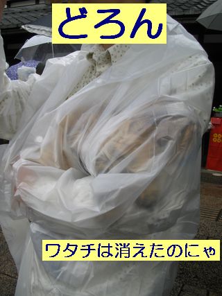 IMG_0919b.jpg