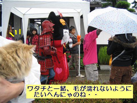 IMG_0921b.jpg
