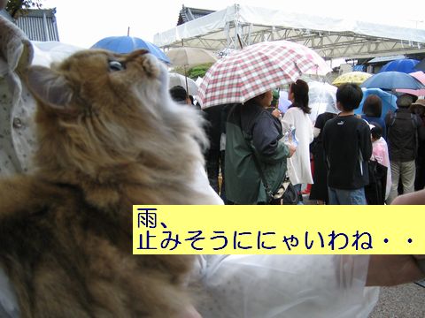 IMG_0921b.jpg