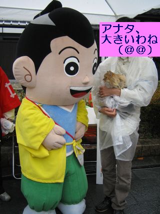 IMG_0938b.jpg