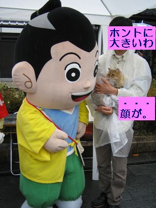 IMG_0939b.jpg
