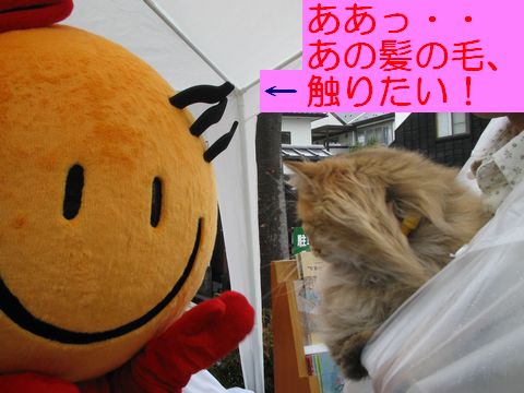 IMG_0945b.jpg