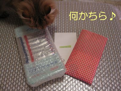 IMG_1708f.jpg