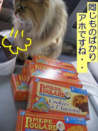 IMG_2431f.jpg