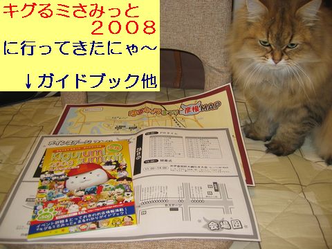 IMG_3322b.jpg