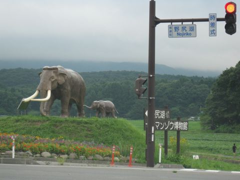 IMG_4818q.jpg