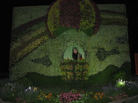 IMG_7102q.jpg